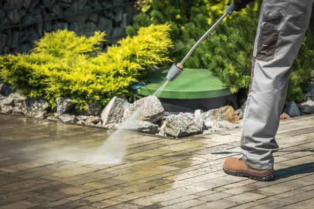 Best Fence Cleaning  in Spring Valley, AZ