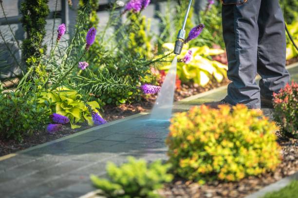 Best Machinery and Equipment Cleaning  in Spring Valley, AZ