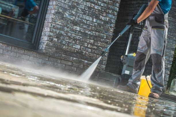 Animal Enclosure Cleaning in Spring Valley, AZ